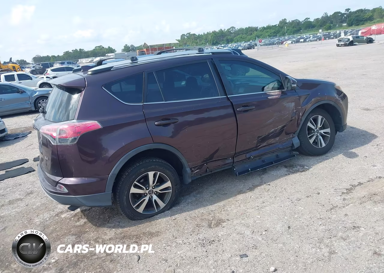 2016 Toyota Rav4 Xle VIN:2T3WFREV5GW281980 - 4