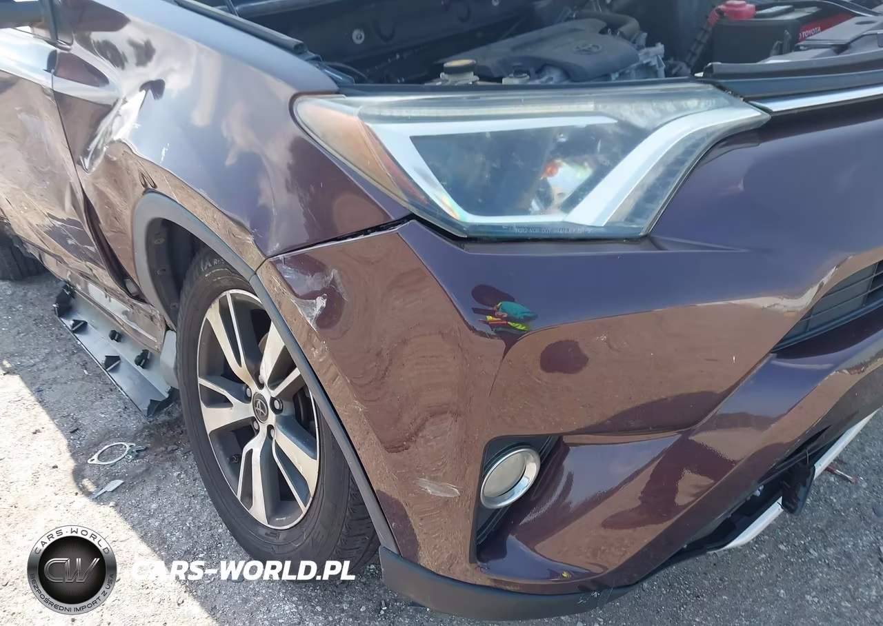 2016 Toyota Rav4 Xle VIN:2T3WFREV5GW281980 - 6