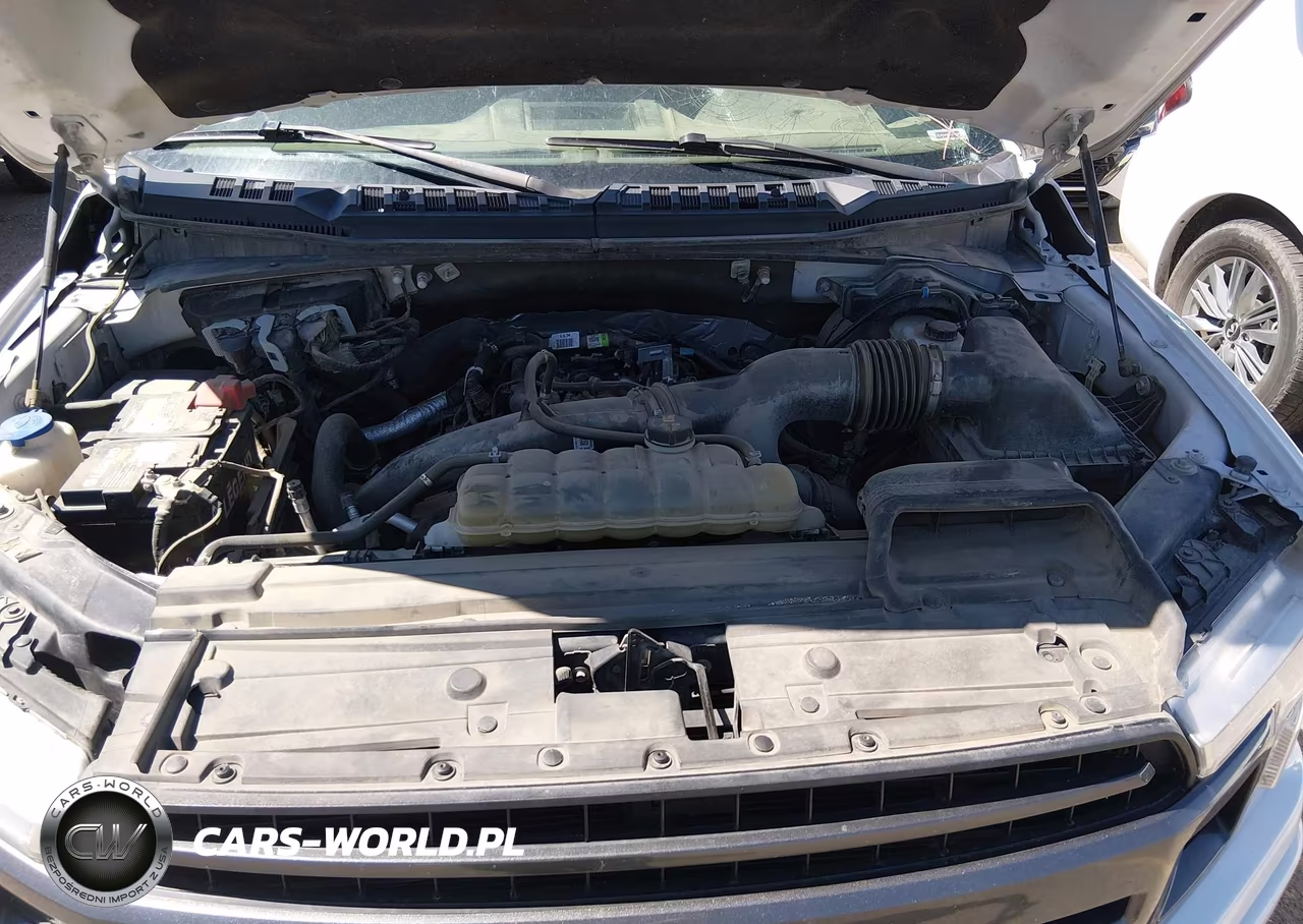 2020 Ford F-150 Xlt VIN:1FTEW1EP1LFB79263 - 10
