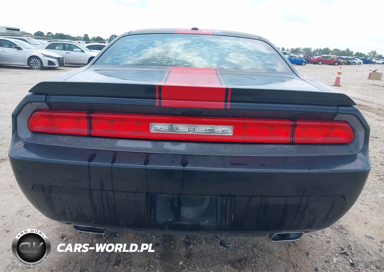 2013 Dodge Challenger Rallye Redline VIN:2C3CDYAGXDH579032 - 16
