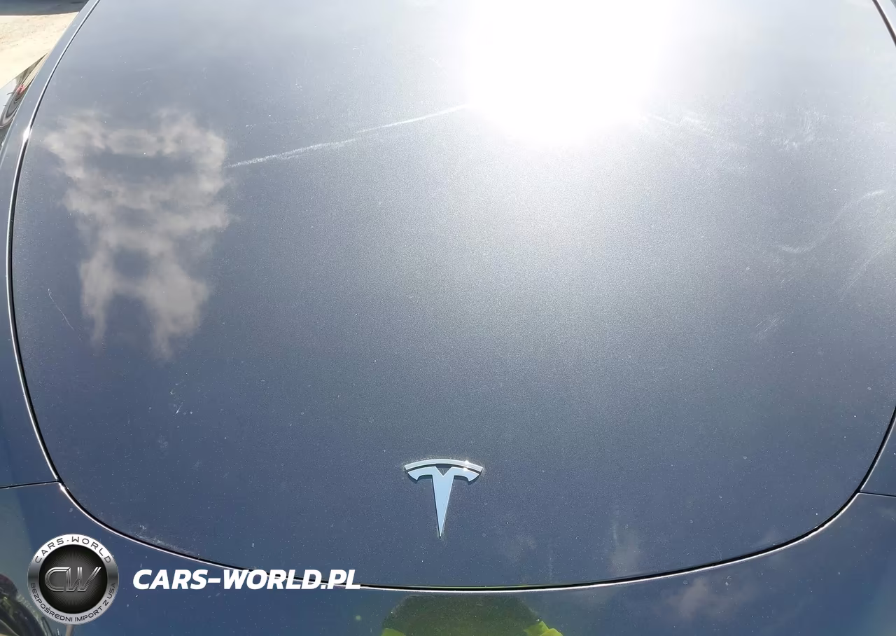 2024 Tesla Model Y Long Range Dual Motor All-Wheel Drive VIN:7SAYGDEE4RF209625 - 10