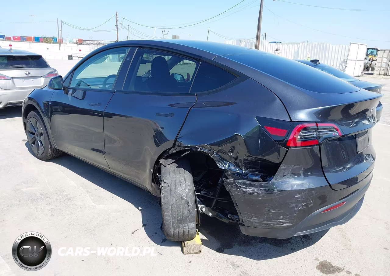2024 Tesla Model Y Long Range Dual Motor All-Wheel Drive VIN:7SAYGDEE4RF209625 - 6