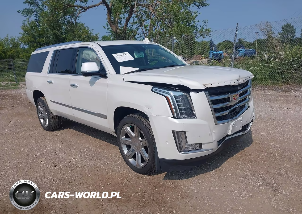 2020 Cadillac Escalade Esv 4Wd Luxury VIN:1GYS4HKJ6LR197929 - 1
