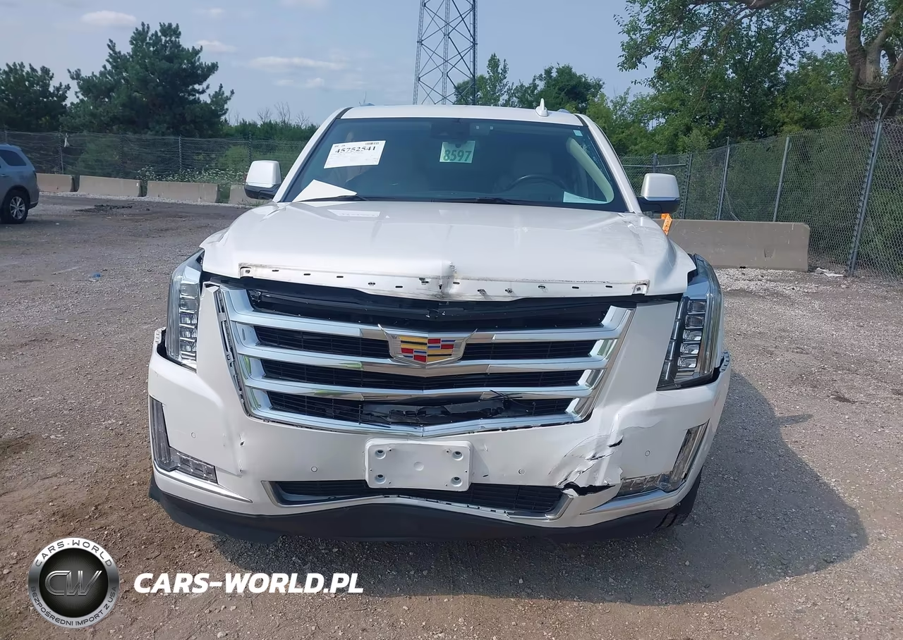 2020 Cadillac Escalade Esv 4Wd Luxury VIN:1GYS4HKJ6LR197929 - 12
