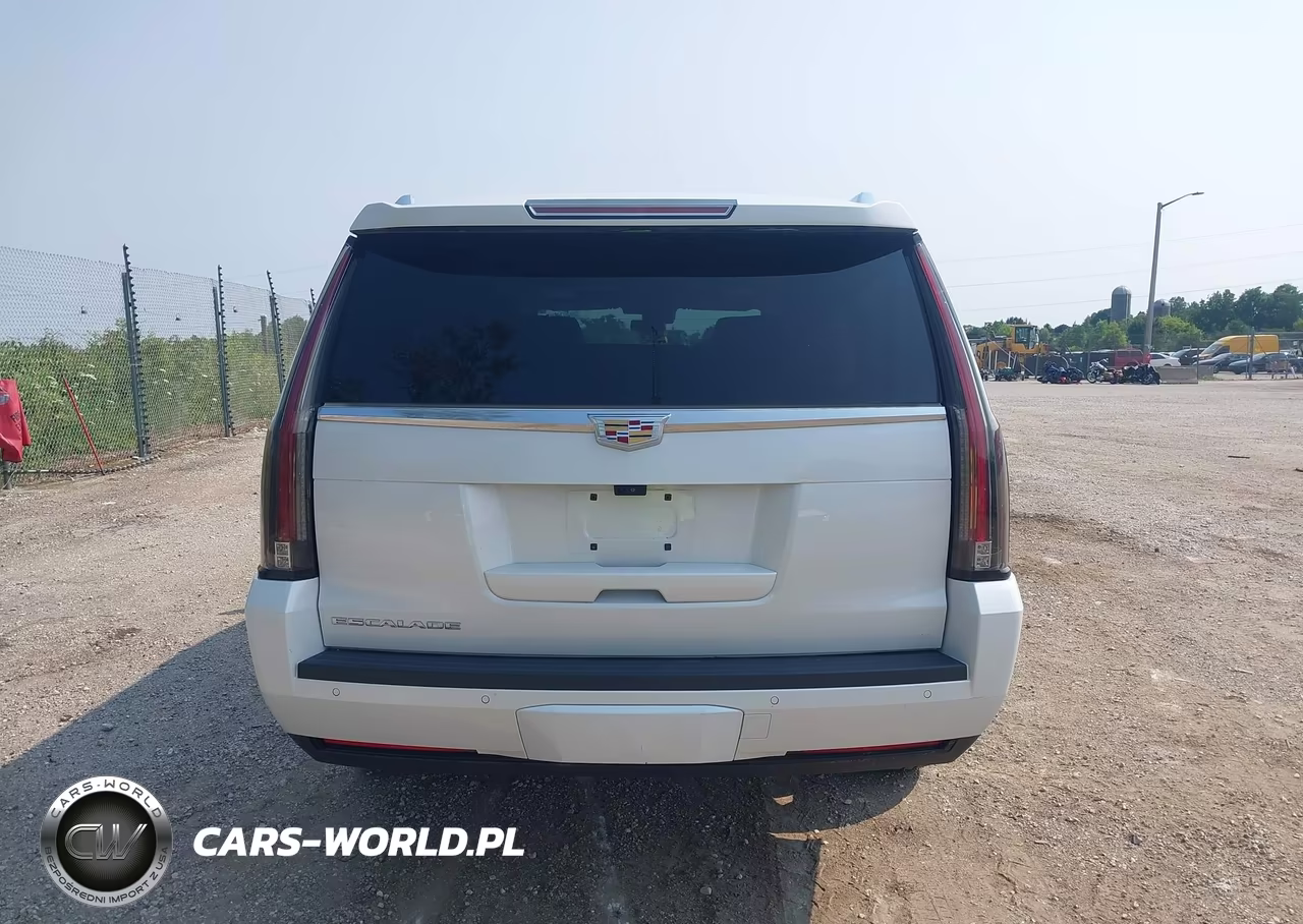 2020 Cadillac Escalade Esv 4Wd Luxury VIN:1GYS4HKJ6LR197929 - 16