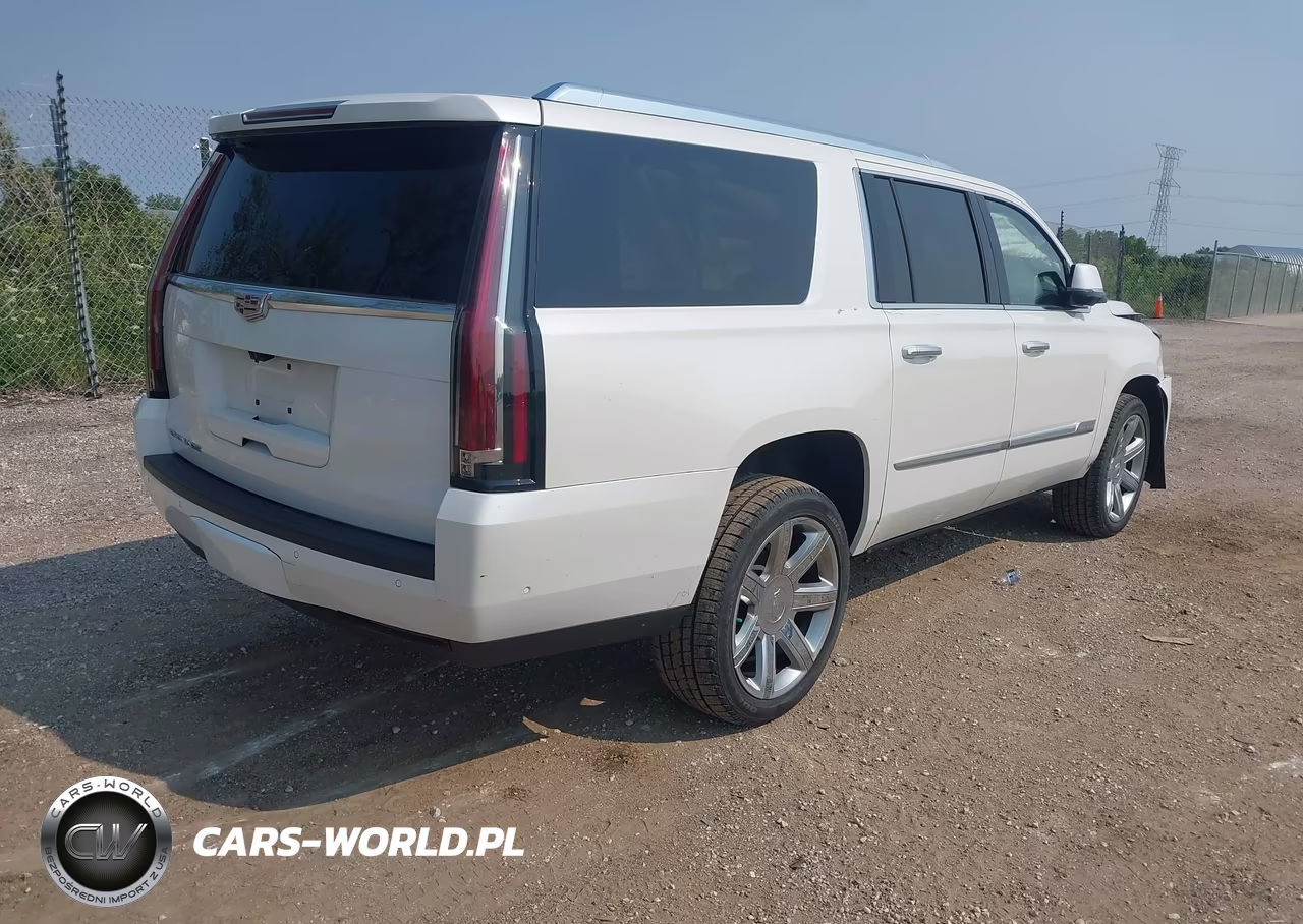 2020 Cadillac Escalade Esv 4Wd Luxury VIN:1GYS4HKJ6LR197929 - 4