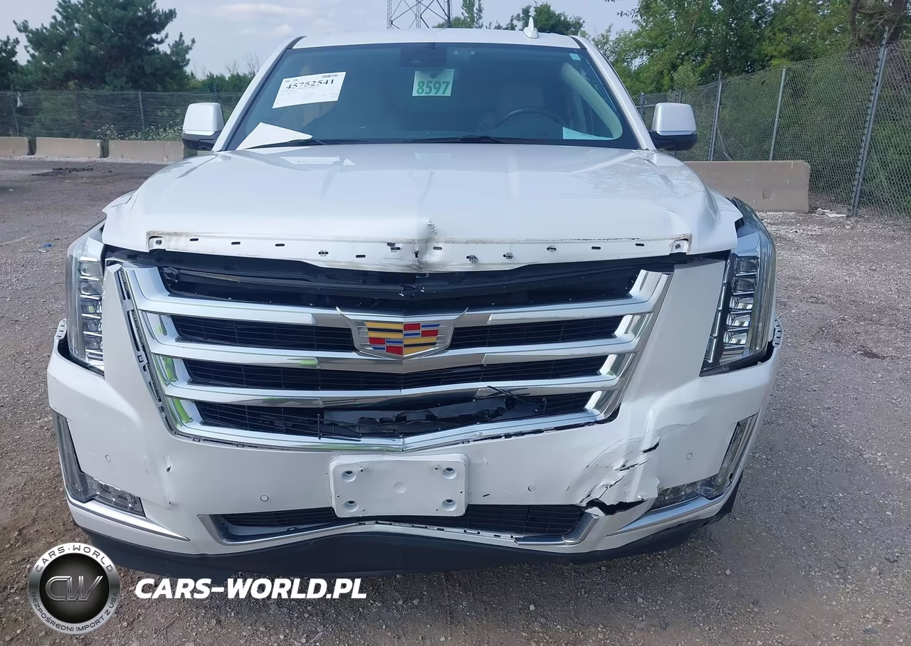 2020 Cadillac Escalade Esv 4Wd Luxury VIN:1GYS4HKJ6LR197929 - 6