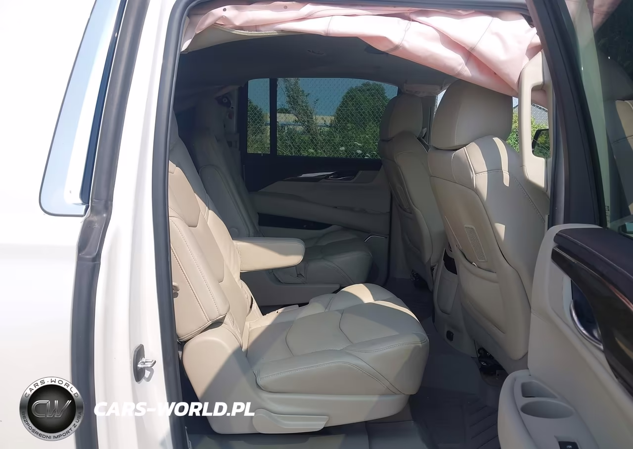 2020 Cadillac Escalade Esv 4Wd Luxury VIN:1GYS4HKJ6LR197929 - 8