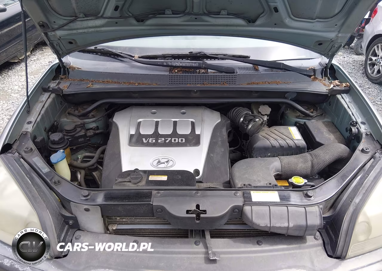 2005 Hyundai Tucson Gls-Lx VIN:KM8JN12D45U208213 - 10