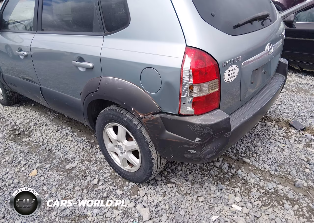 2005 Hyundai Tucson Gls-Lx VIN:KM8JN12D45U208213 - 6