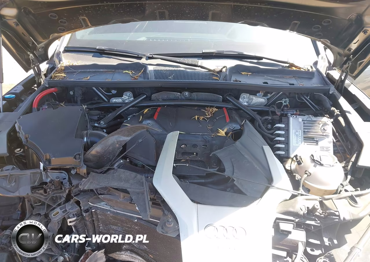 2019 Audi Sq5 3.0T Premium VIN:WA1B4AFY3K2056810 - 10