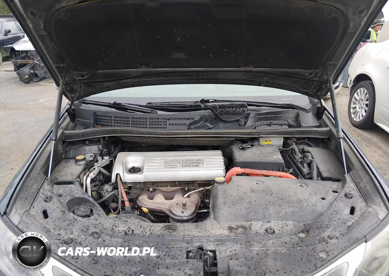 2010 Lexus Hs 250H Premium VIN:JTHBB1BA6A2007411 - 10