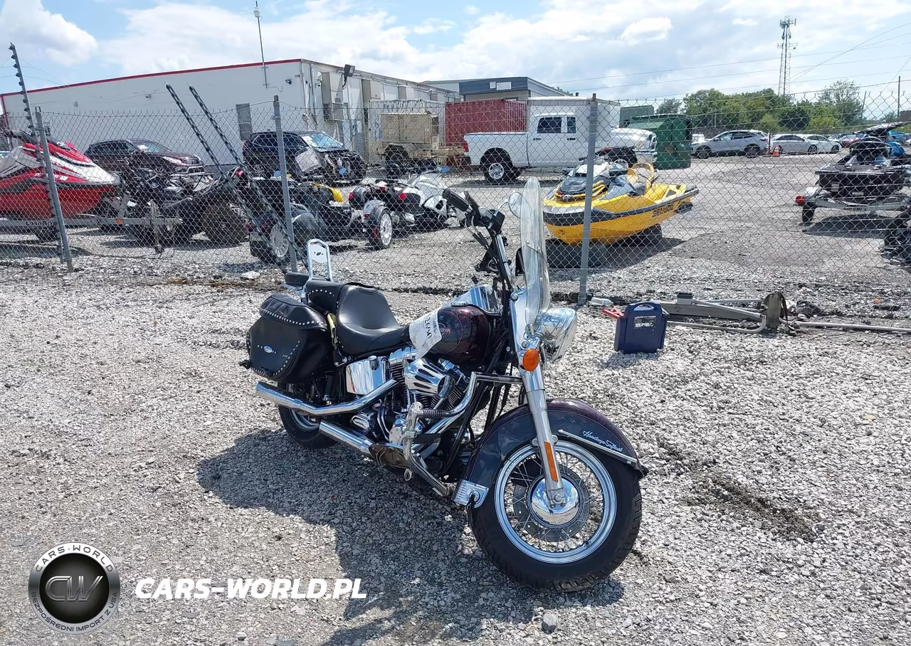 2006 Harley-Davidson Flstci