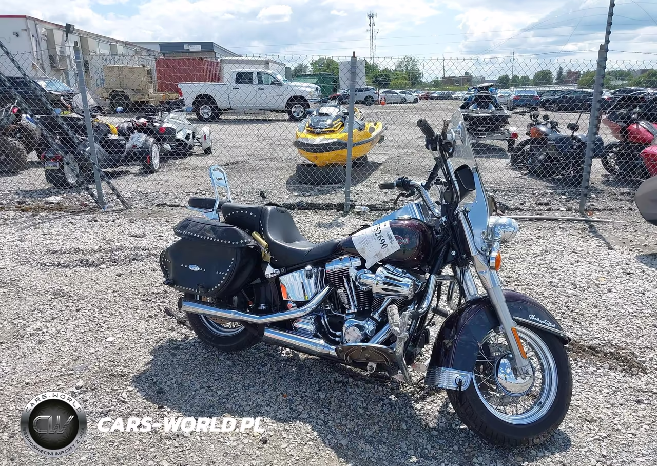 2006 Harley-Davidson Flstci VIN:1HD1BWB106Y013041 - 11