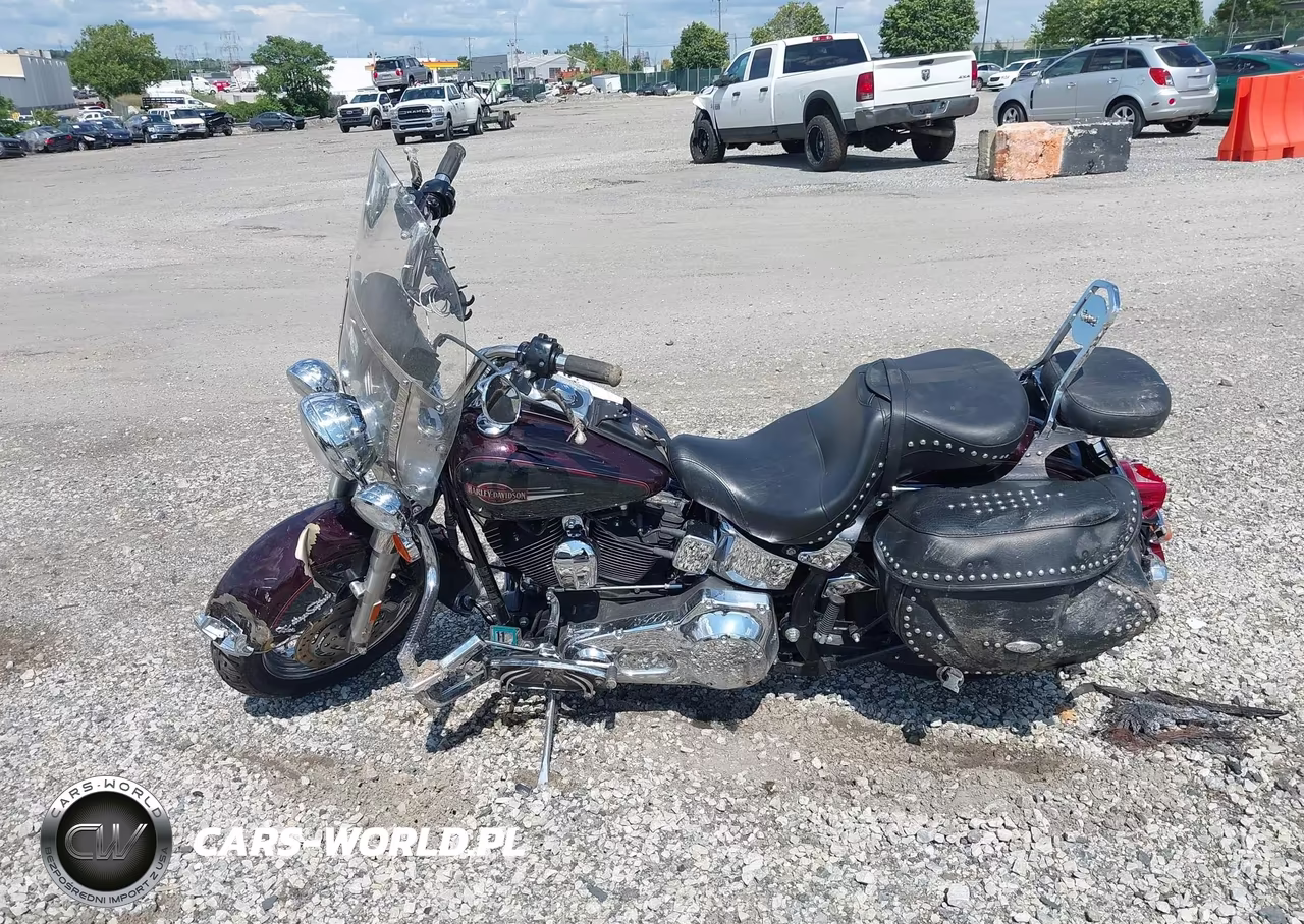 2006 Harley-Davidson Flstci VIN:1HD1BWB106Y013041 - 12