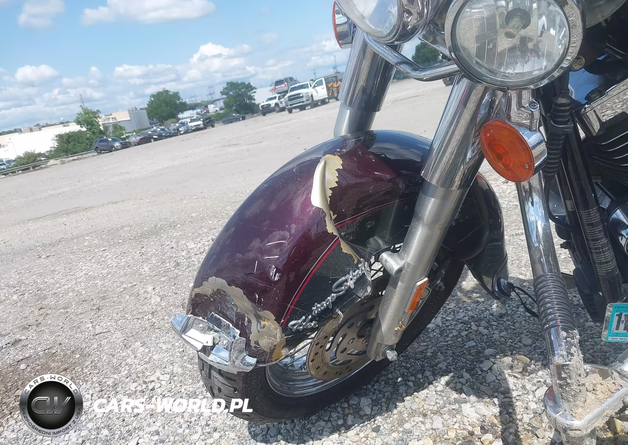 2006 Harley-Davidson Flstci VIN:1HD1BWB106Y013041 - 13