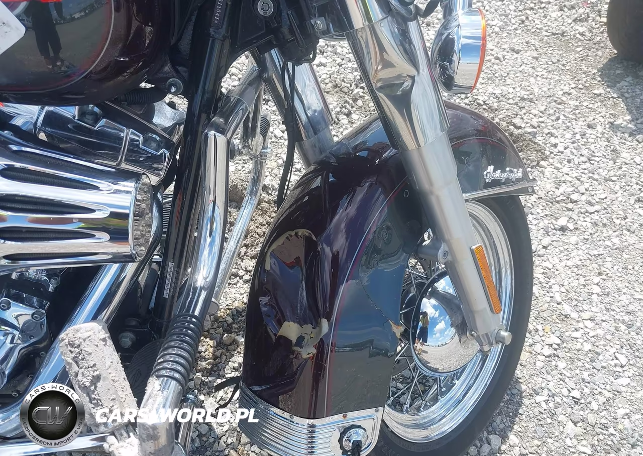 2006 Harley-Davidson Flstci VIN:1HD1BWB106Y013041 - 14