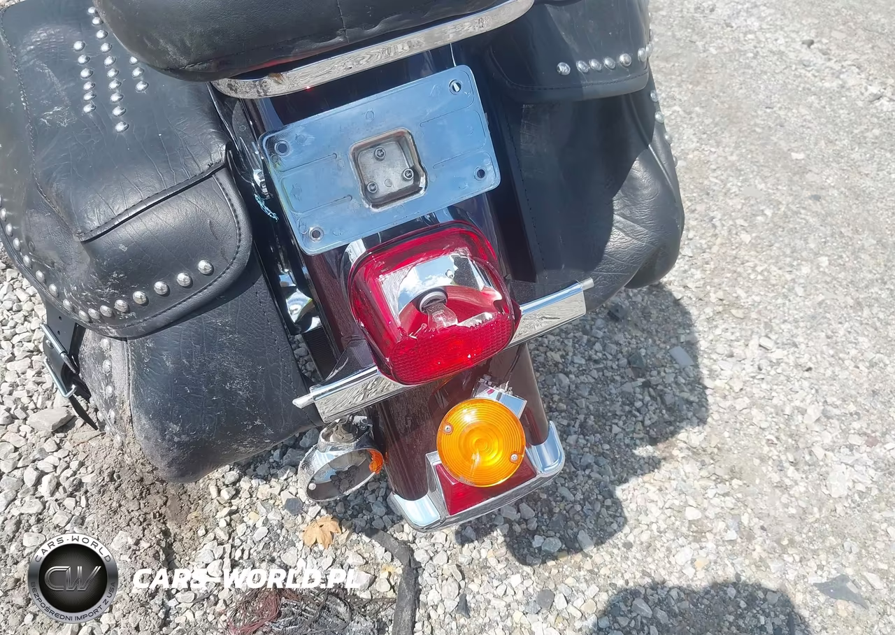 2006 Harley-Davidson Flstci VIN:1HD1BWB106Y013041 - 16
