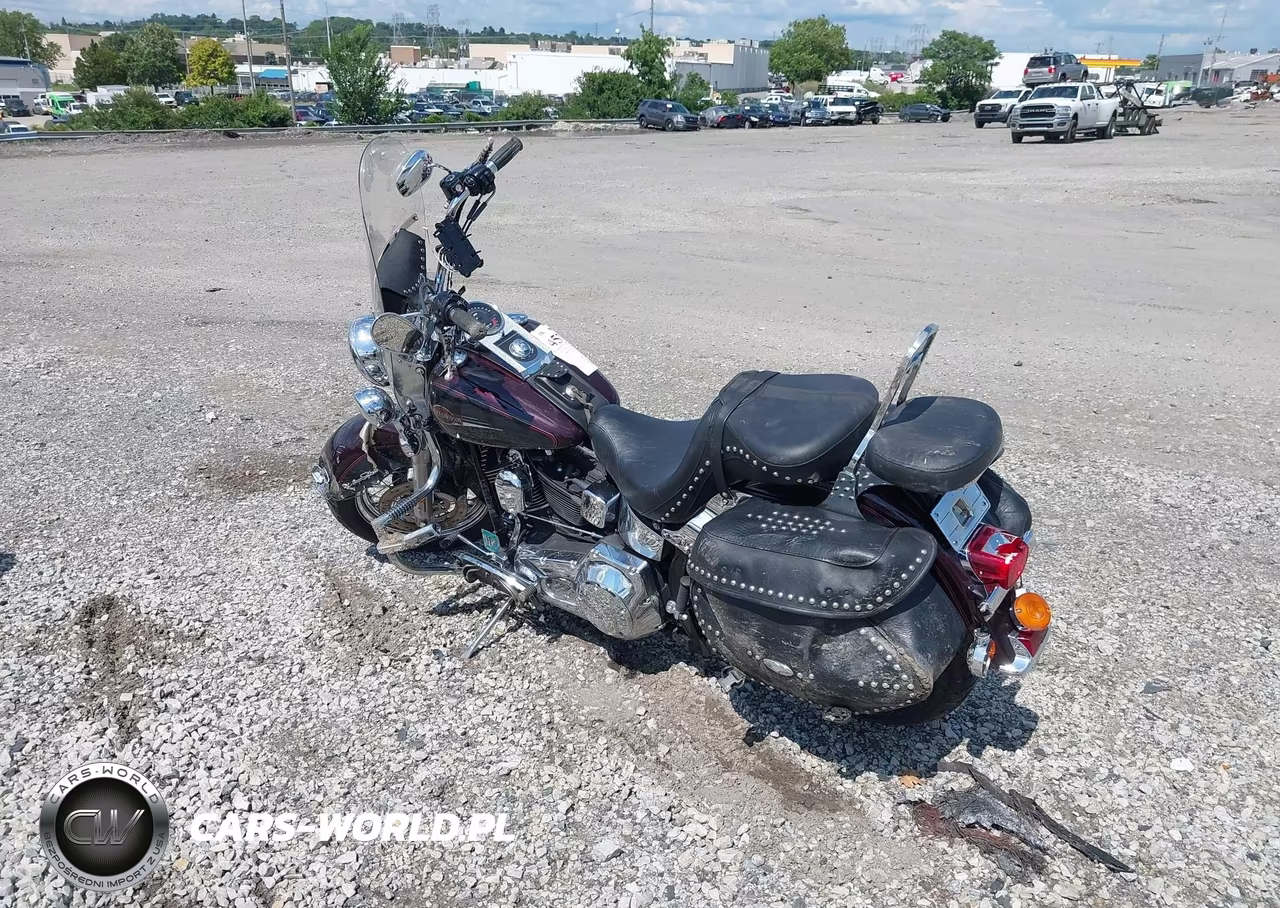 2006 Harley-Davidson Flstci VIN:1HD1BWB106Y013041 - 3