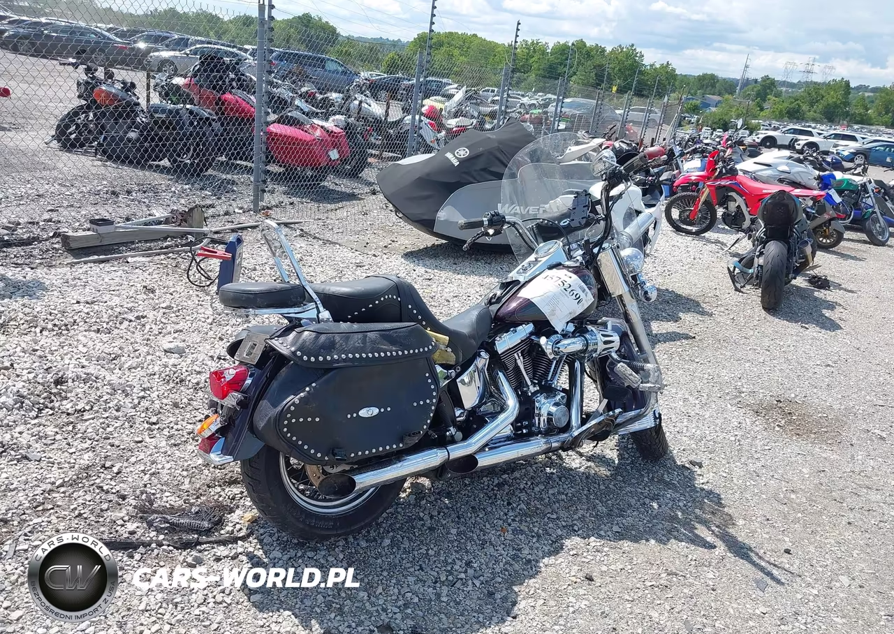 2006 Harley-Davidson Flstci VIN:1HD1BWB106Y013041 - 4