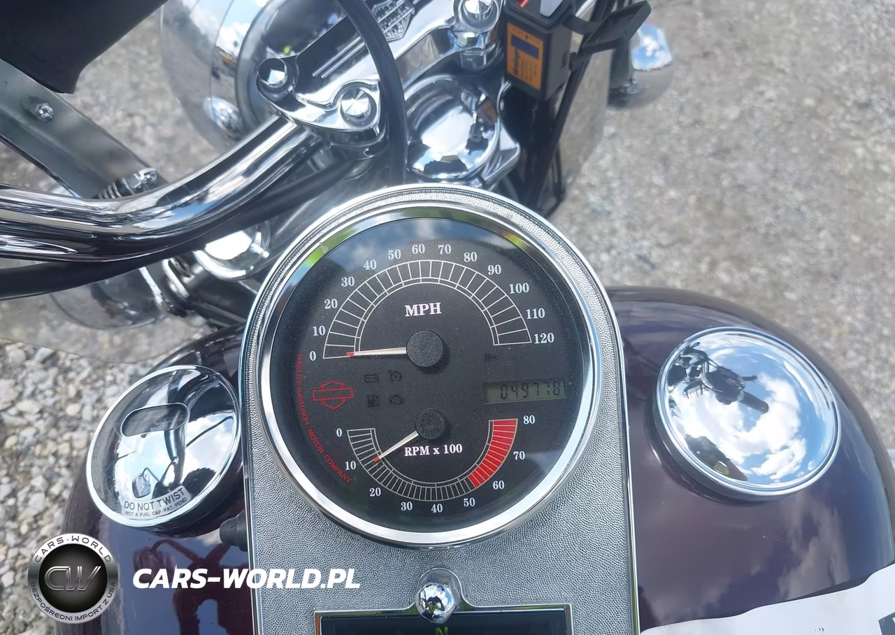 2006 Harley-Davidson Flstci VIN:1HD1BWB106Y013041 - 7