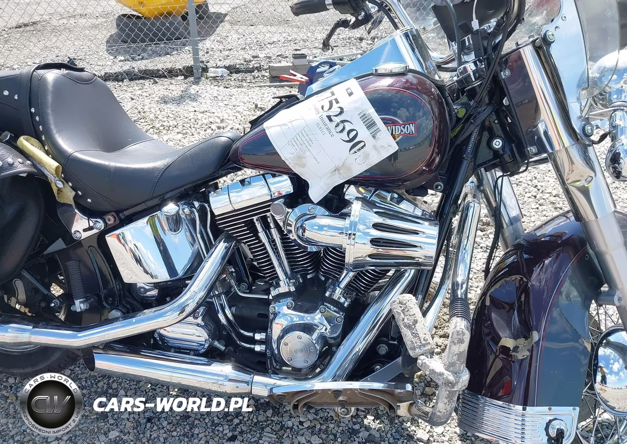 2006 Harley-Davidson Flstci VIN:1HD1BWB106Y013041 - 8