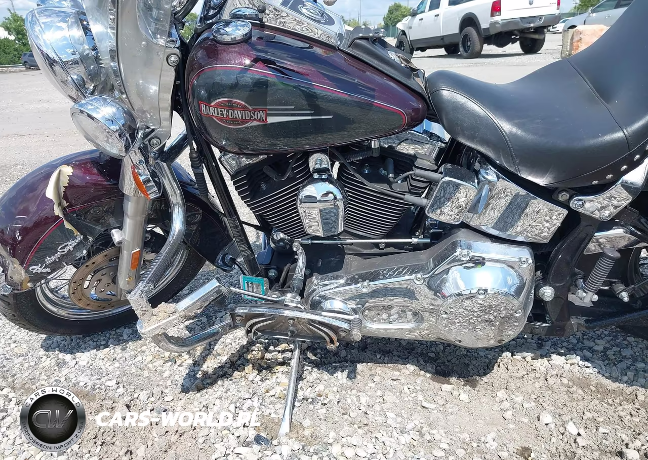 2006 Harley-Davidson Flstci VIN:1HD1BWB106Y013041 - 9