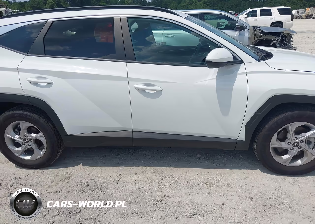 2024 Hyundai Tucson Sel VIN:5NMJB3DEXRH372383 - 13