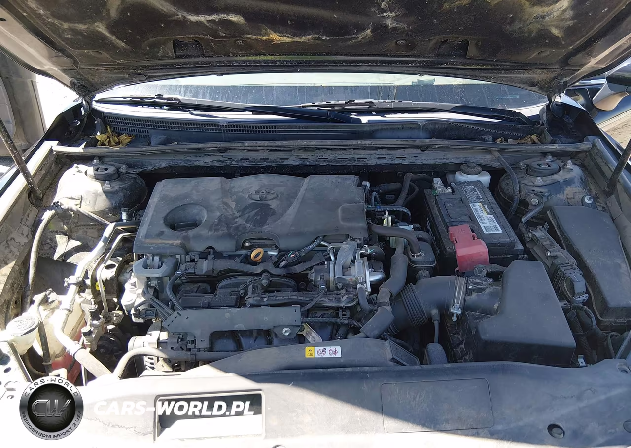 2019 Toyota Camry Se VIN:4T1B11HK1KU169517 - 10