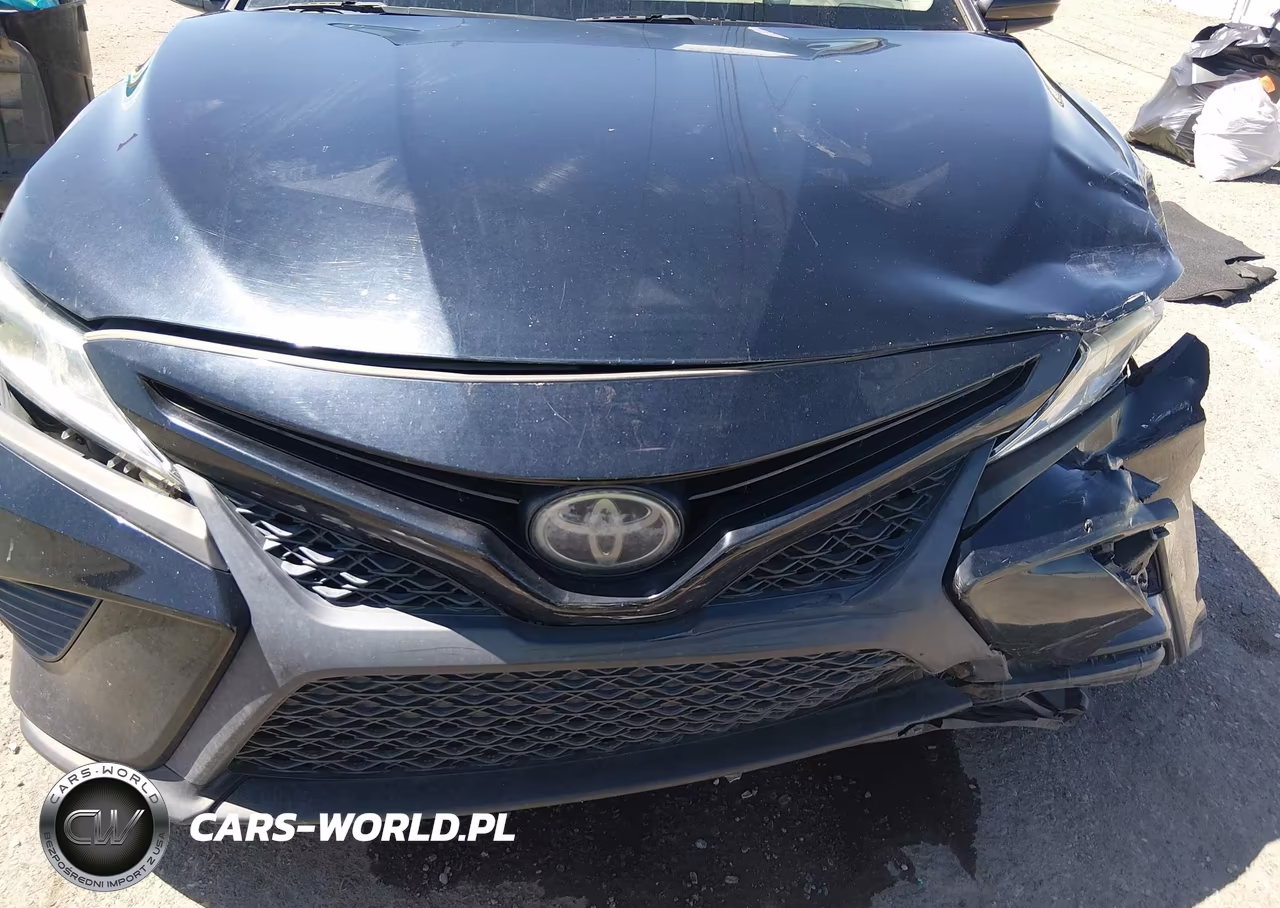 2019 Toyota Camry Se VIN:4T1B11HK1KU169517 - 11