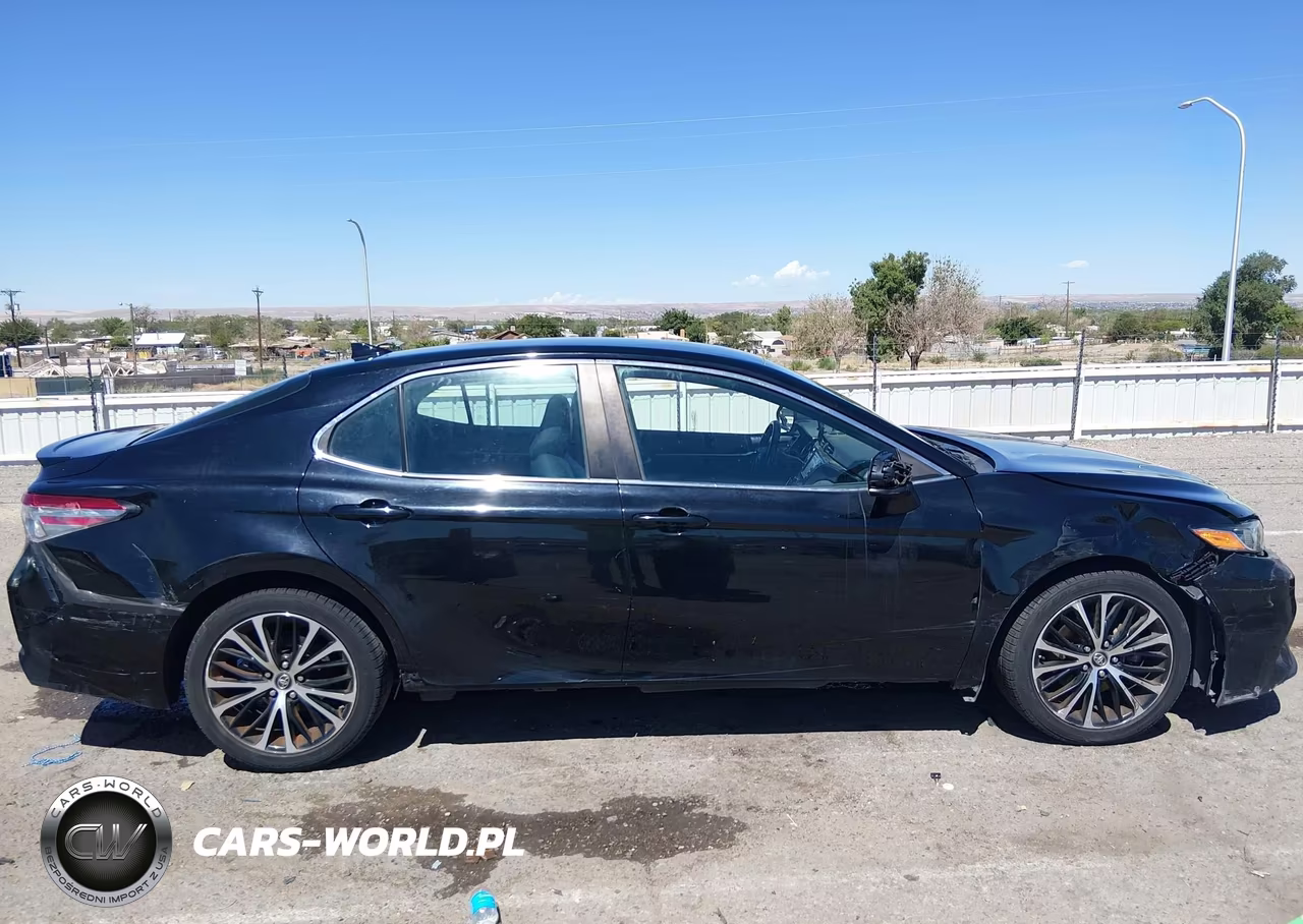 2019 Toyota Camry Se VIN:4T1B11HK1KU169517 - 12