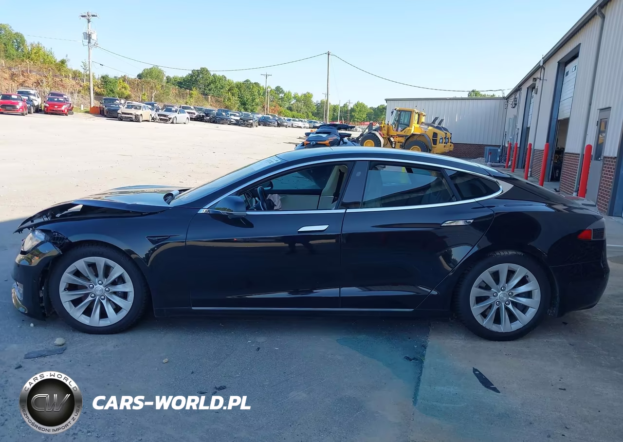 2018 Tesla Model S 100D-75D-P100D VIN:5YJSA1E2XJF253612 - 13