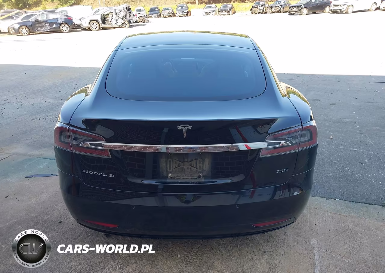 2018 Tesla Model S 100D-75D-P100D VIN:5YJSA1E2XJF253612 - 15