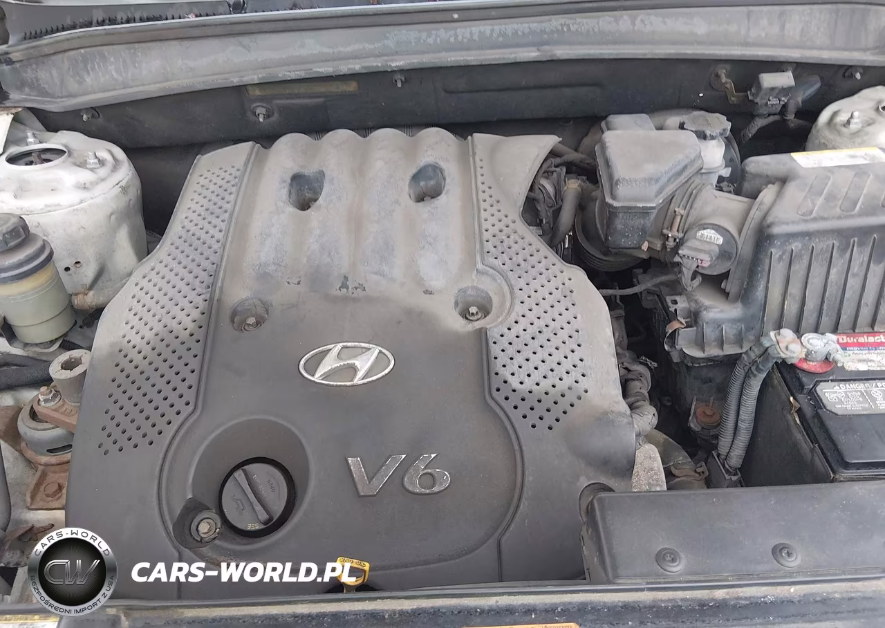 2007 Hyundai Santa Fe Gls VIN:5NMSG13D87H124388 - 10