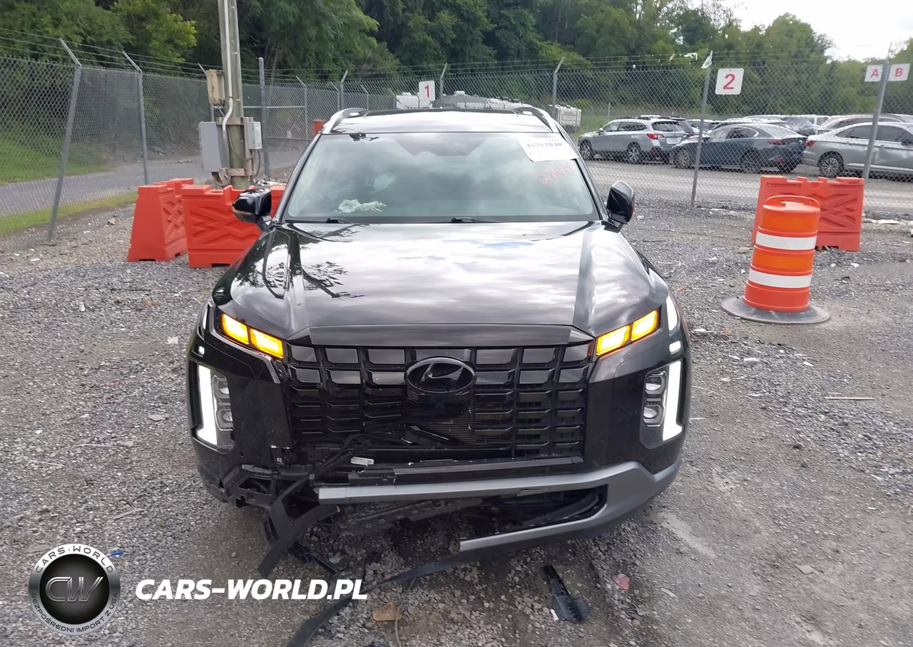 2024 Hyundai Palisade Sel VIN:KM8R44GE1RU791483 - 12