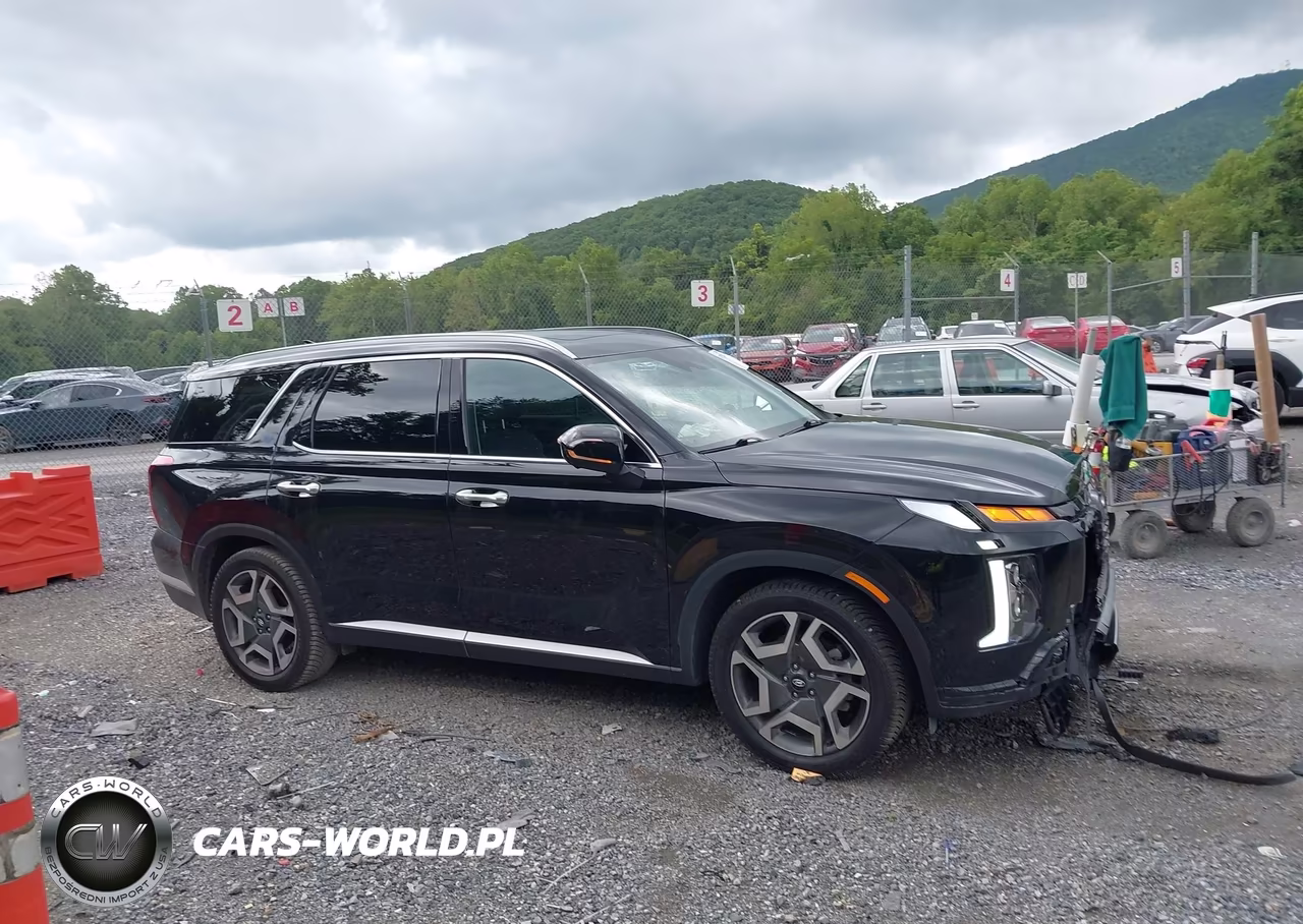 2024 Hyundai Palisade Sel VIN:KM8R44GE1RU791483 - 13