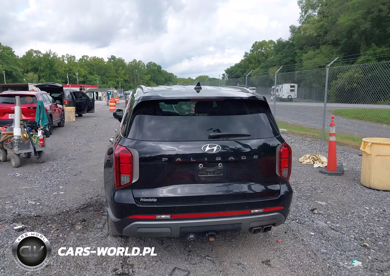 2024 Hyundai Palisade Sel VIN:KM8R44GE1RU791483 - 16
