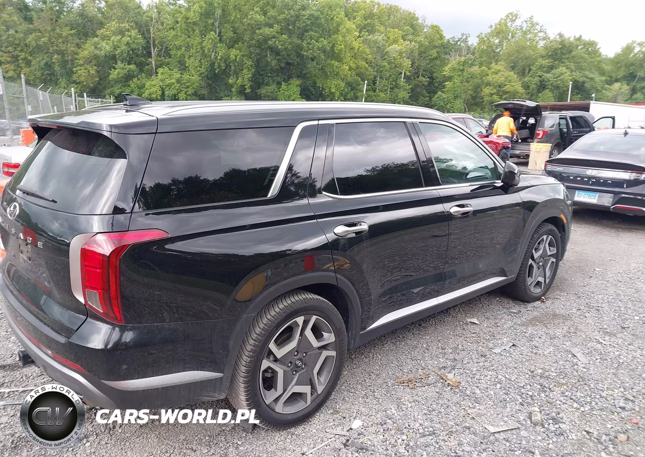 2024 Hyundai Palisade Sel VIN:KM8R44GE1RU791483 - 4