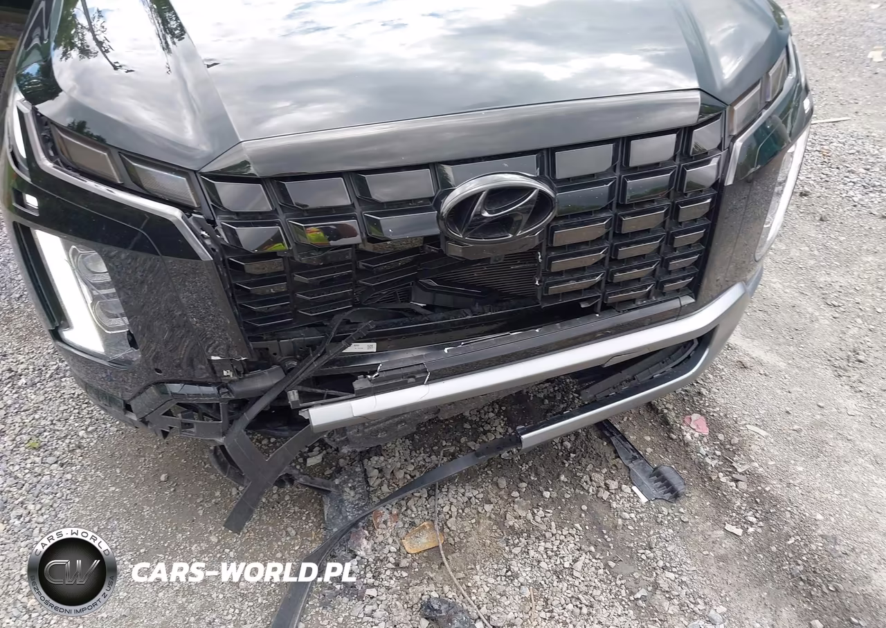 2024 Hyundai Palisade Sel VIN:KM8R44GE1RU791483 - 6