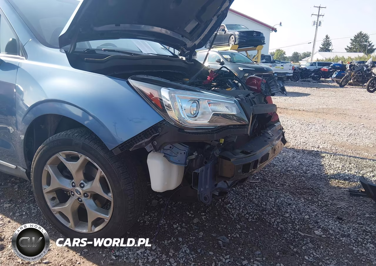 2017 Subaru Forester 2.5I Touring VIN:JF2SJAWC2HH473054 - 6