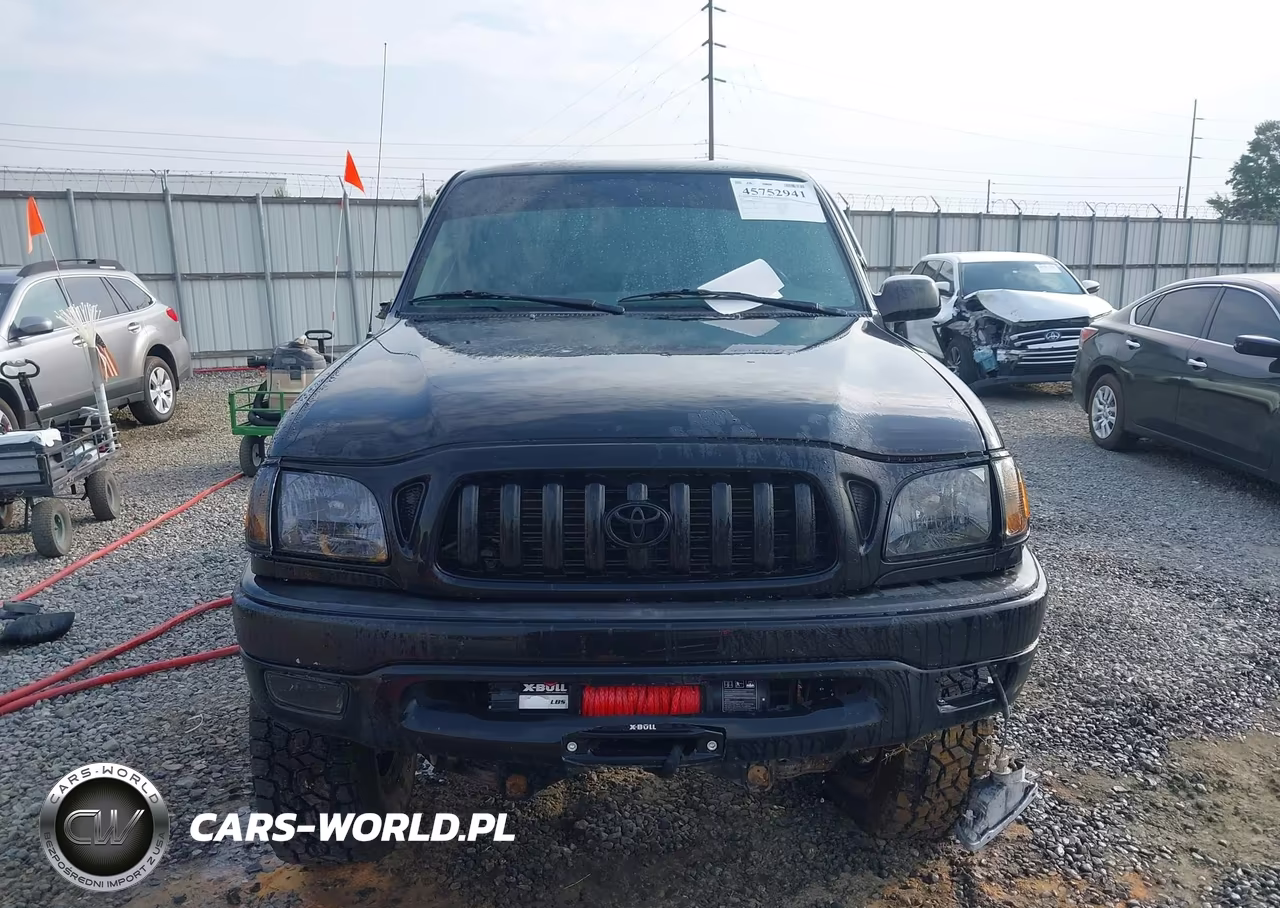 2004 Toyota Tacoma VIN:5TEPM62N24Z379040 - 12