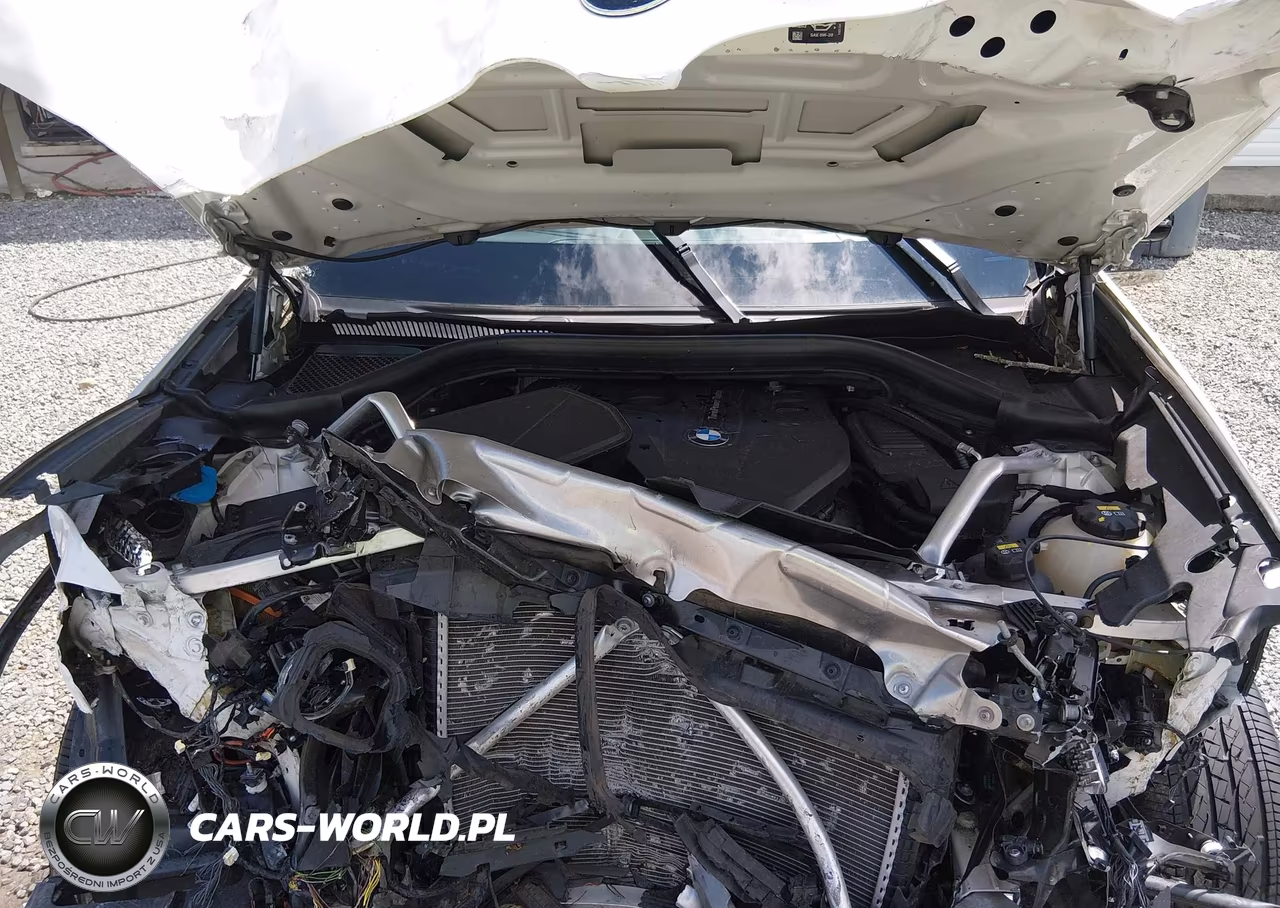 2019 BMW X3 Sdrive30I VIN:5UXTR7C55KLF29269 - 10