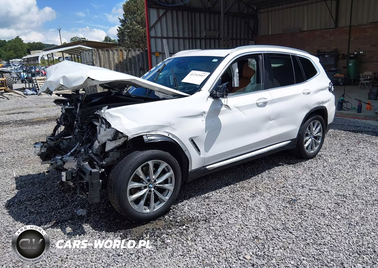 2019 BMW X3 Sdrive30I VIN:5UXTR7C55KLF29269 - 2