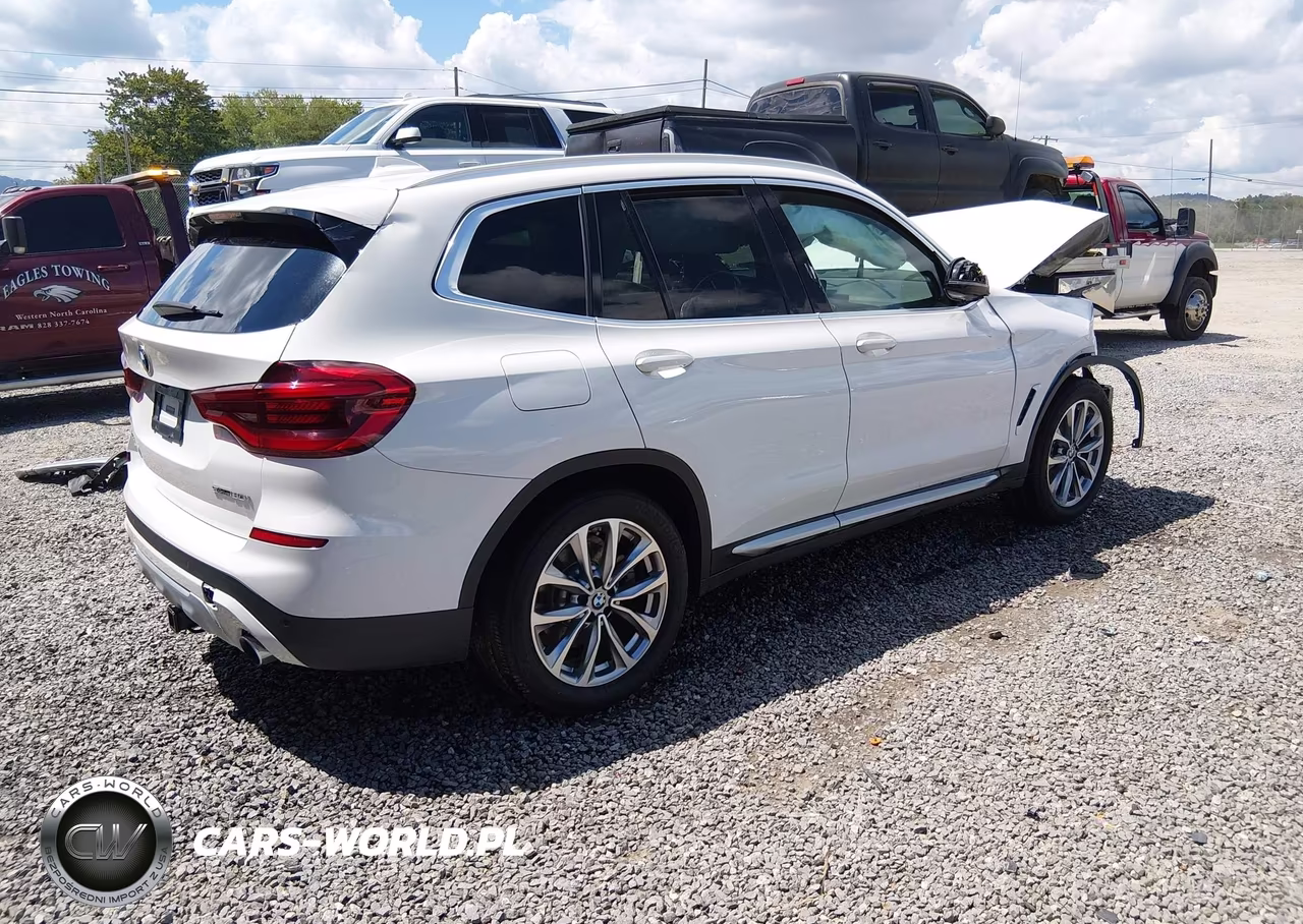 2019 BMW X3 Sdrive30I VIN:5UXTR7C55KLF29269 - 4