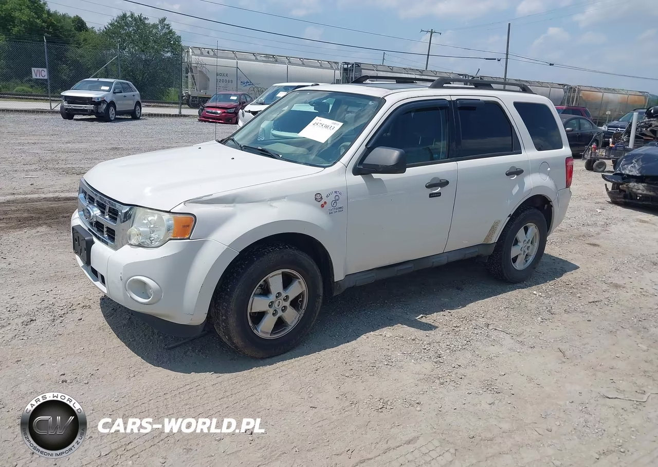 2010 Ford Escape Xlt VIN:1FMCU0D74AKB61719 - 2