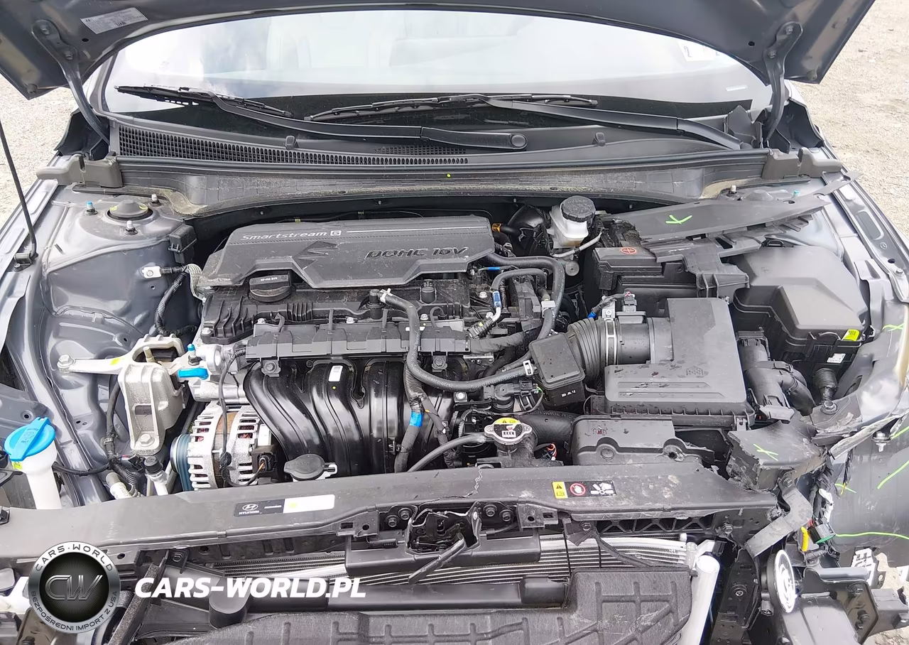 2025 Hyundai Elantra Limited VIN:KMHLP4DG6SU896383 - 10