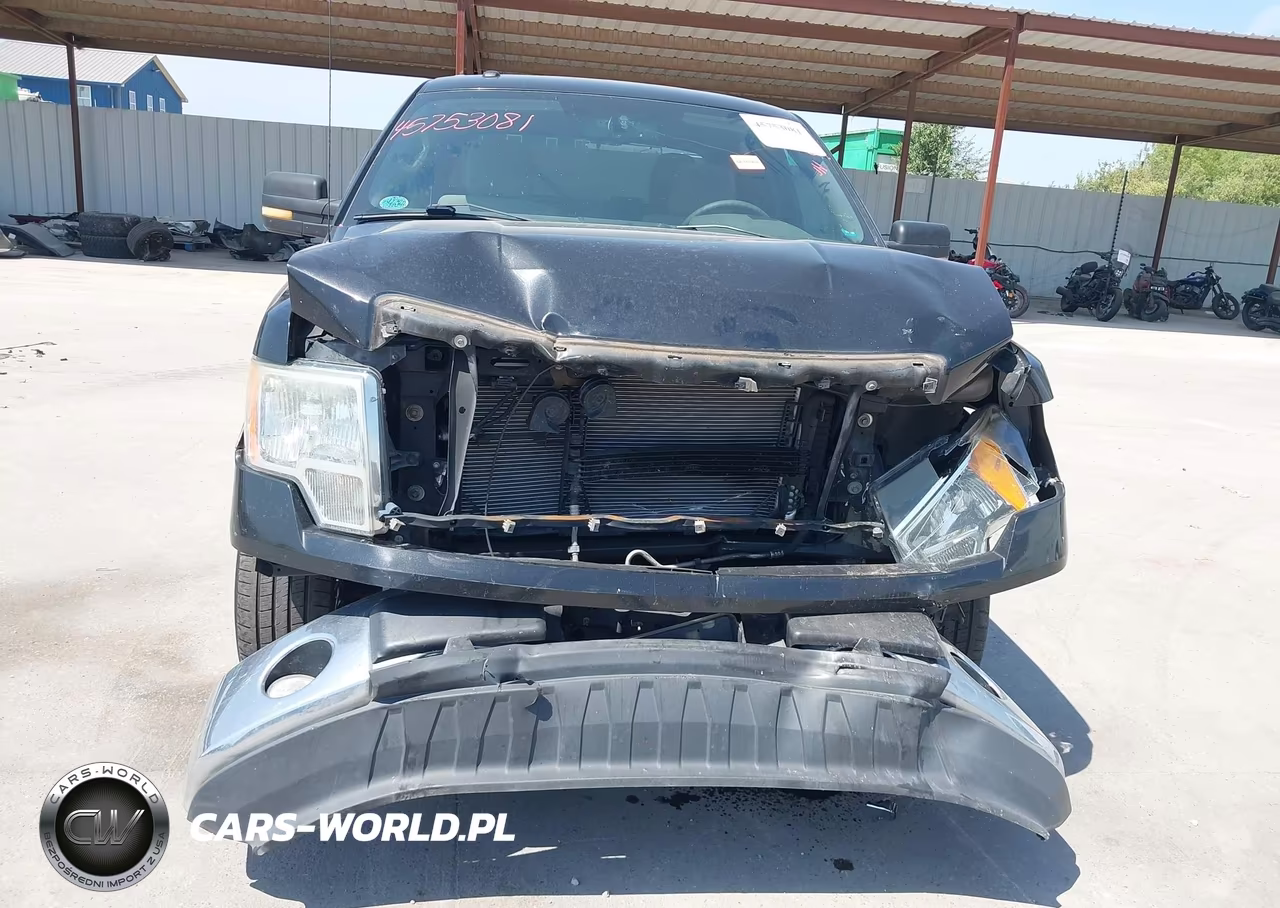 2010 Ford F-150 Fx2 Sport-Xl-Xlt VIN:1FTEW1C80AFD86400 - 13