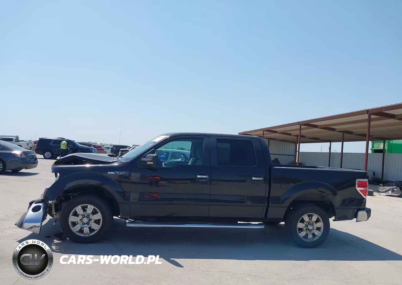 2010 Ford F-150 Fx2 Sport-Xl-Xlt VIN:1FTEW1C80AFD86400 - 15