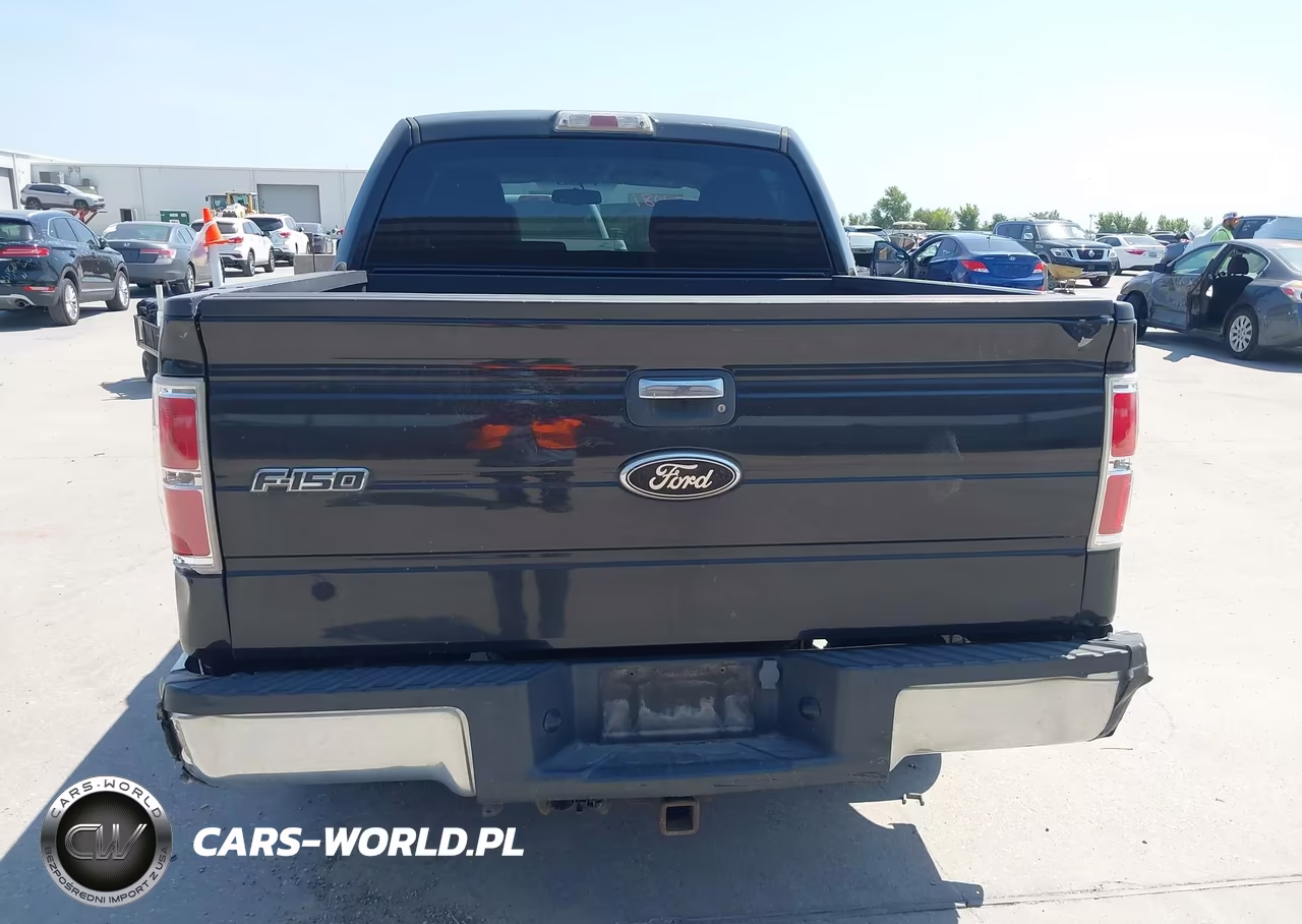 2010 Ford F-150 Fx2 Sport-Xl-Xlt VIN:1FTEW1C80AFD86400 - 17