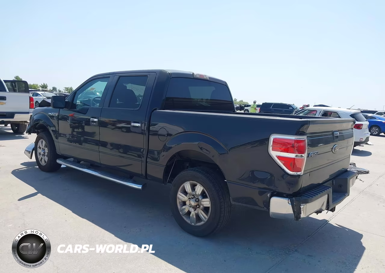 2010 Ford F-150 Fx2 Sport-Xl-Xlt VIN:1FTEW1C80AFD86400 - 3